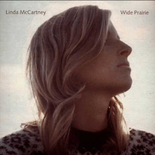 Screen Shot 2019-08-02 at 12.00.06 PM.png